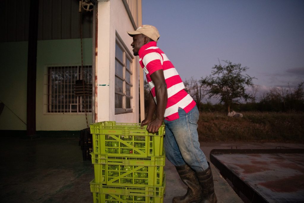 Man leans on two crates