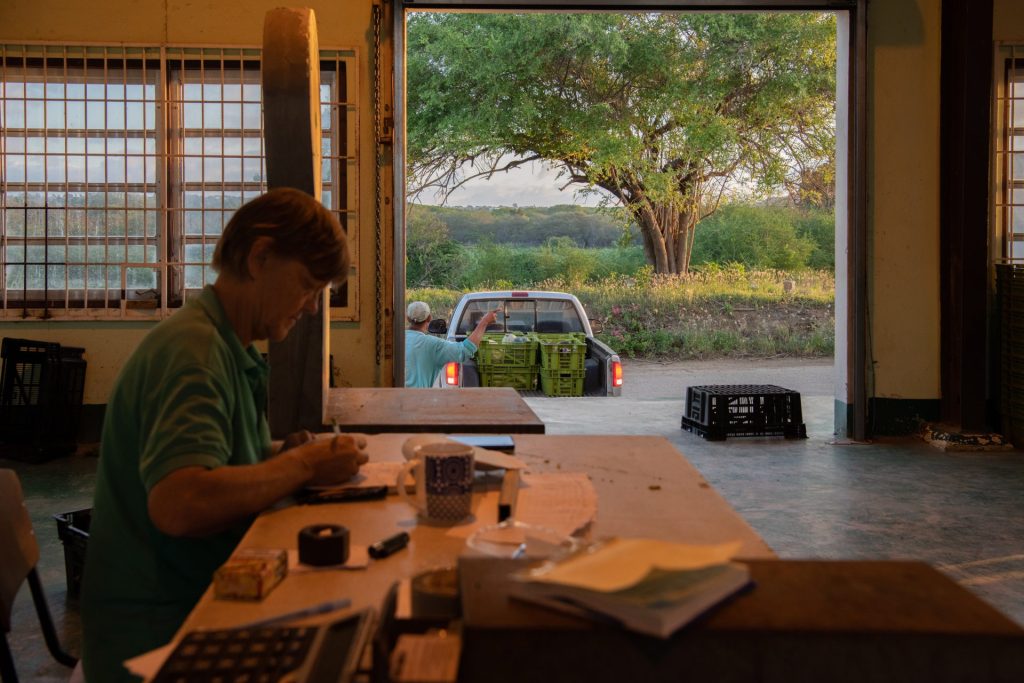 Older woman is sitting at a desk and writing